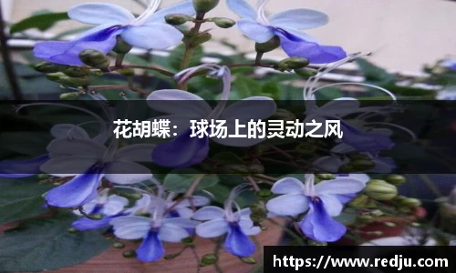 bwin必赢官网